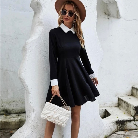 Contract trim fit & flare dress - Picture 2 of 9